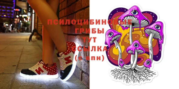 прущие грибы Алексин