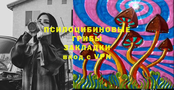 прущие грибы Алексин