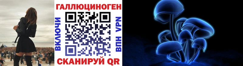 Псилоцибиновые грибы Psilocybe Среднеуральск